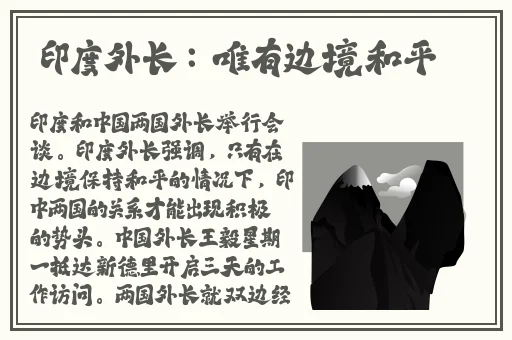 暴躁大妈荒野大镖客